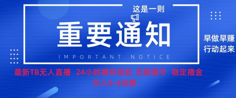 双11淘宝网撸金新项目–没有人挂JI卖货，不用值班，平稳捞钱，月入5个数