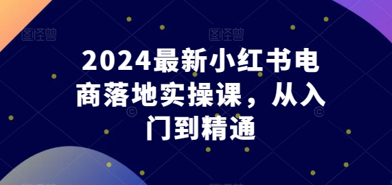 2024全新小红书电商落地式实操课，实用教程