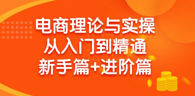 （9576期）电子商务理论和实际操作实用教程：抖音小店 淘宝 多多的，初学者篇 实战篇