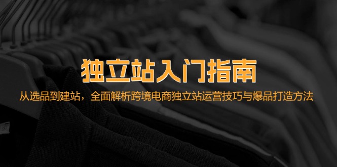 （12882期）自建站新手入门手册：从选款到建网站，深度剖析跨境电子商务独立站运营技巧与爆款…