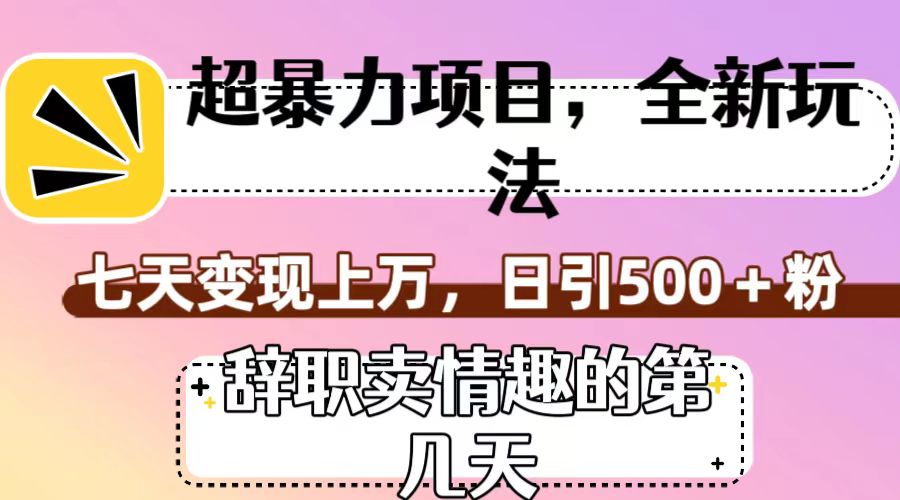 超赚钱项目，全新玩法（离职卖乐趣的什么时间），七天转现过万，日引500 粉