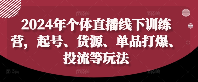 2024年个人直播间夏令营，养号、一手货源、品类打穿、投流等玩法