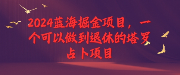 2024瀚海掘金队新项目，一个能做到退休塔罗牌占卜新项目