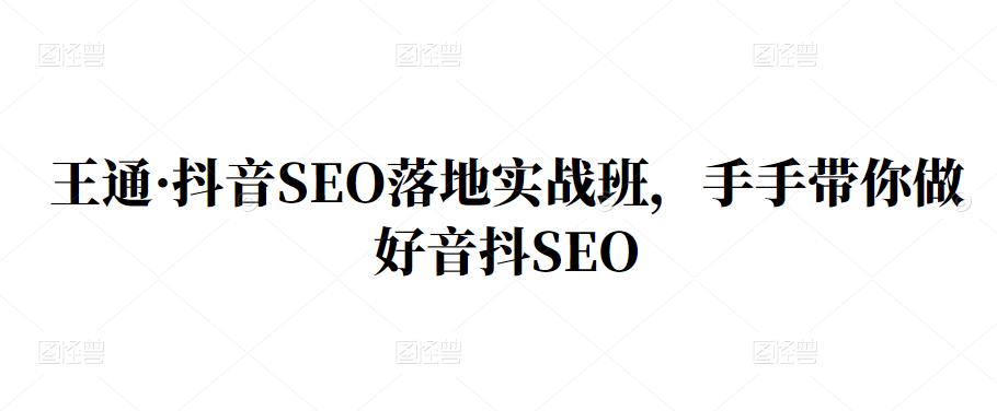 王通·抖音SEO落地实战班，手把手带你做好抖音SEO