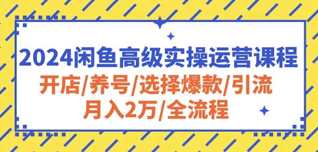 2024闲鱼高级实操运营课程：开店/养号/选择爆款/引流/月入2万/全流程