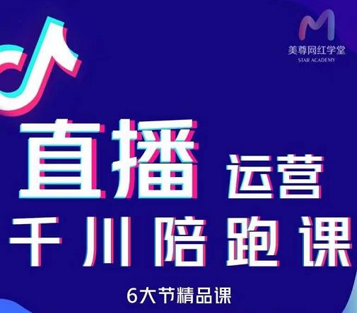 美尊-抖音直播运营千川系统课：直播运营规划、起号、主播培养、千川投放等