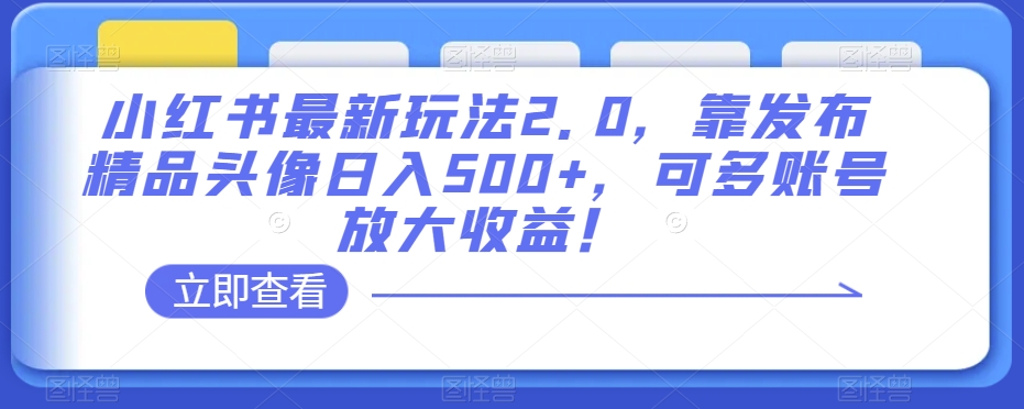 小红书的全新游戏玩法2.0，靠公布精典头像图片日赚500 ，可多账号变大盈利！【揭密】