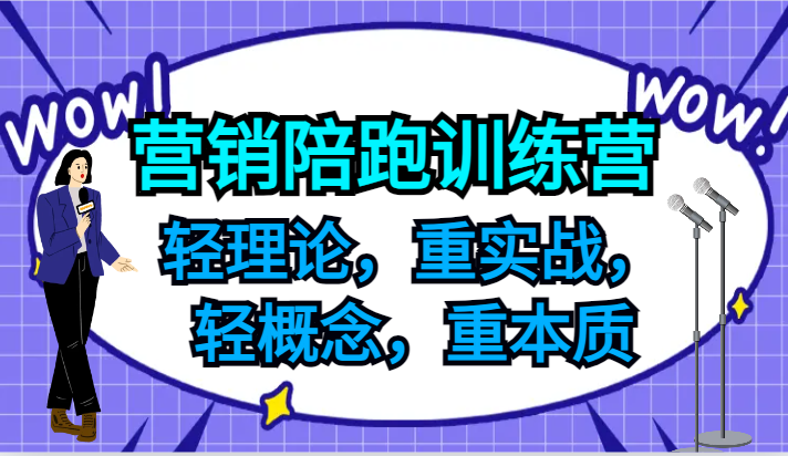 营销推广陪跑夏令营，轻基础理论，重实战演练，轻定义，重实质，适宜中小企业和初创企业的老总