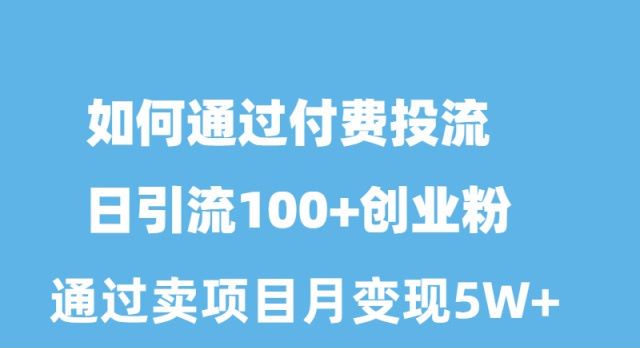 （10189期）怎样通过付钱投流日引流方法100 自主创业粉月转现5W