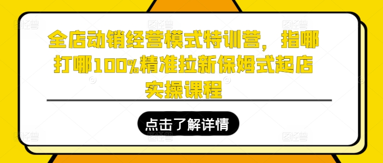 全店动销运营模式夏令营，指哪打哪100%精确引流跟踪服务出单实操课程