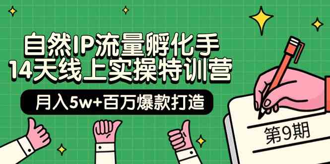 当然IP总流量卵化手14无线天线上实际操作夏令营【第9期】月入5w 上百万爆款打造 (74节)