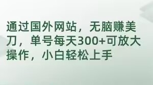 通过国外网站，无脑赚美刀，单号每天300+可放大操作，小白轻松上手【揭秘】-暖阳网-优质付费教程和创业项目大全