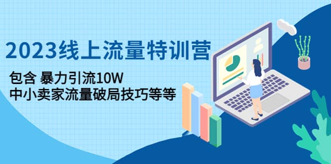 2023线上流量特训营：中小卖家流量破局技巧等等