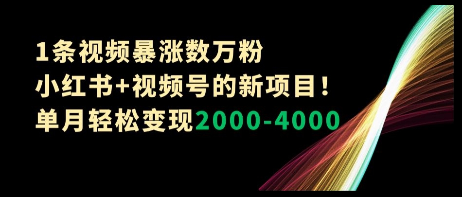 1条视频暴涨数万粉–小红书+视频号的新项目！单月轻松变现2000-4000【揭秘】