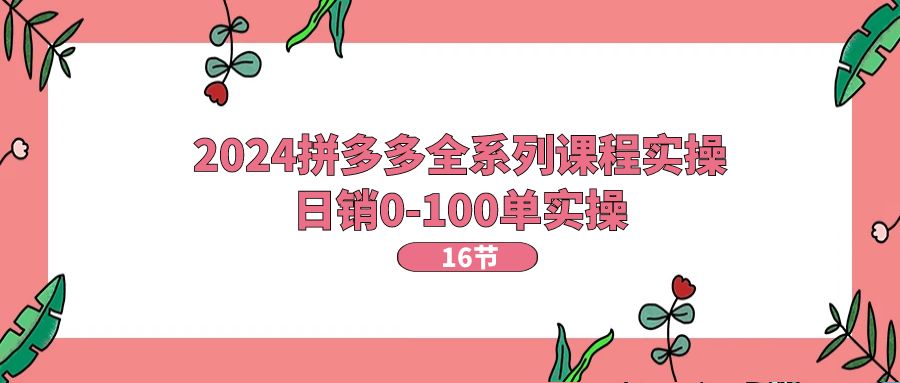 2024拼多多平台全主题课程实际操作，日销0-100单实际操作【16堂课】