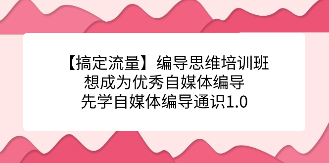 （7281期）【解决总流量】导演逻辑思维培训机构，要成为出色自媒体平台导演先学自媒体编导通识类1.0