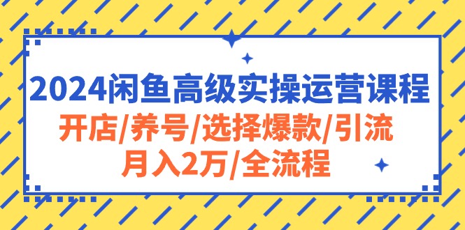 （10711期）2024闲鱼平台高端实际操作营销课程：开实体店/起号/挑选爆品/引流方法/月入2万/全过程