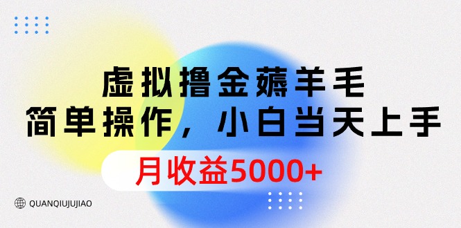 （9864期）虚似撸金撸羊毛，易操作，新手当日入门，月盈利5000