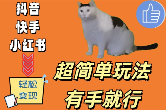 超级简单游戏玩法，有手就行，靠猫咪视频日入500 【揭密】