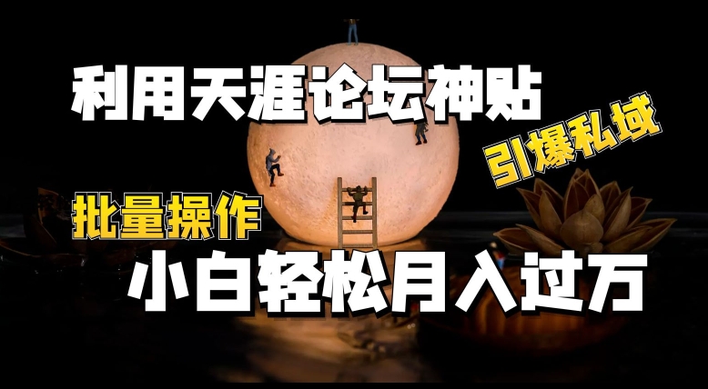 运用天涯社区神贴，点爆公域，批量处理，新手轻轻松松月入了w【揭密】