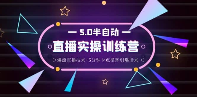 蚂蚁·5.0半自动直播2345打法，半自动爆流直播技术+5分钟卡点循环引爆话术