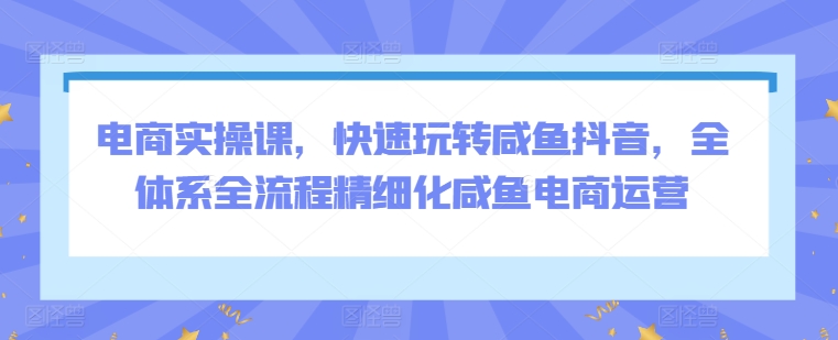 电商实操课，快速玩转咸鱼抖音，全体系全流程精细化咸鱼电商运营