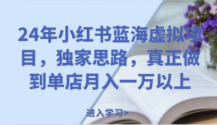 24年小红书的瀚海虚拟资源项目，独家代理构思，充分体现门店月入一万之上。