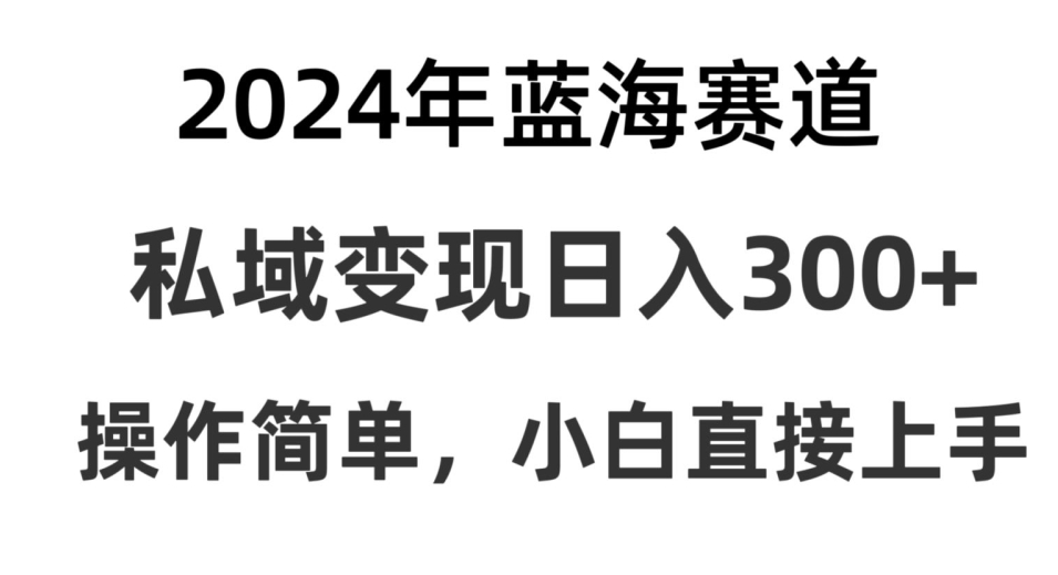 2024抖音蓝海赛道，私域变现日入300+，操作简单，每年只需一小时，纯小白可直接上手