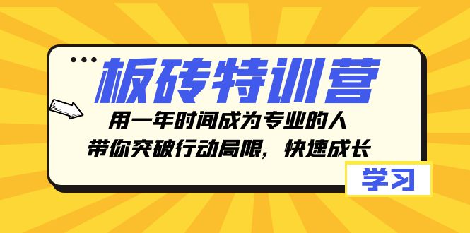 （8048期）砖头夏令营，用一年时间变成专业人，陪你突破行动局限性，快速增长-暖阳网-优质付费教程和创业项目大全