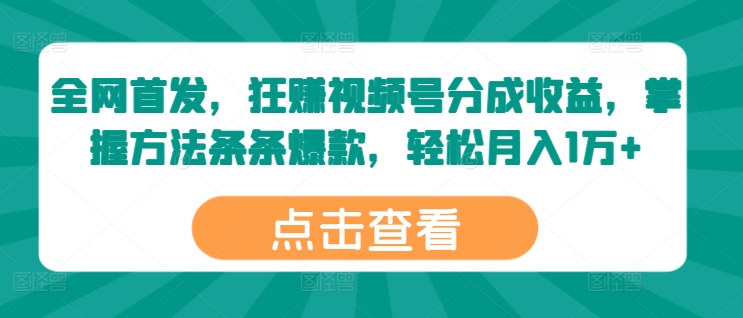 独家首发，狂赚微信视频号分为盈利，掌握方法一条条爆品，轻轻松松月入1万