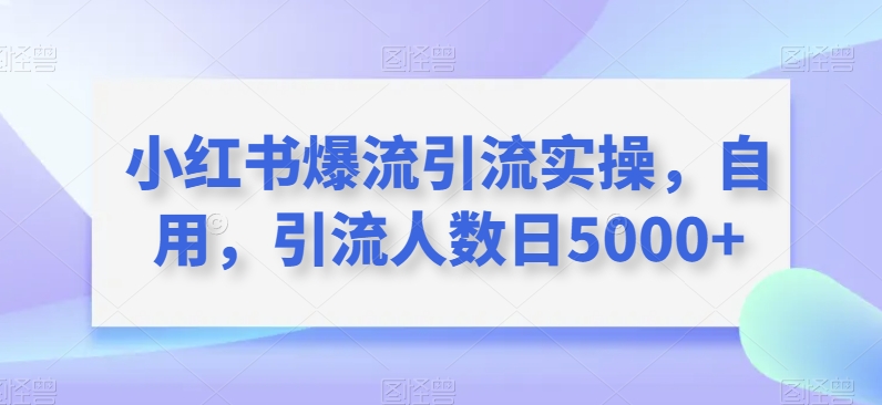 小红书的爆流引流方法实际操作，自购，引流方法总数日5000