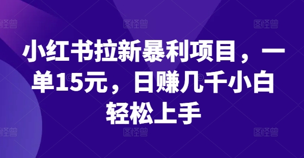 小红书的引流赚钱项目，一单15元，日赚好几千新手快速上手【揭密】