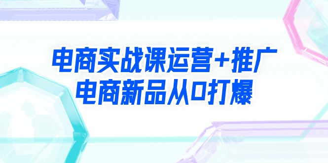 （9313期）电子商务实战演练课经营 营销推广，电子商务新产品从0打穿（99节视频课程）