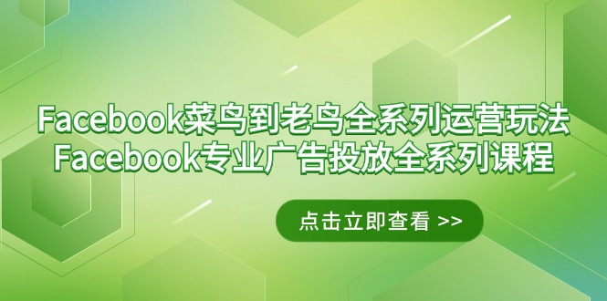 （9065期）Facebook-小白到老手系列产品经营游戏玩法 Facebook-技术专业广告营销全主题课程