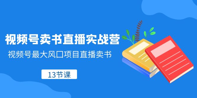 （8080期）微信视频号-开书店直播间实战营，微信视频号较大风囗新项目直播卖书（13堂课）-暖阳网-优质付费教程和创业项目大全