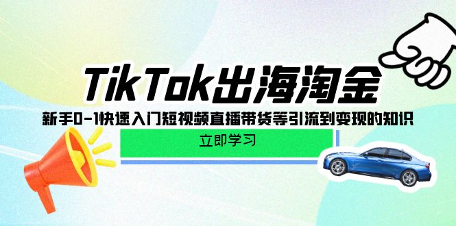 （10035期）TikTok-出航挖金，初学者0-1快速上手短视频带货卖货等引导到快速变现专业知识