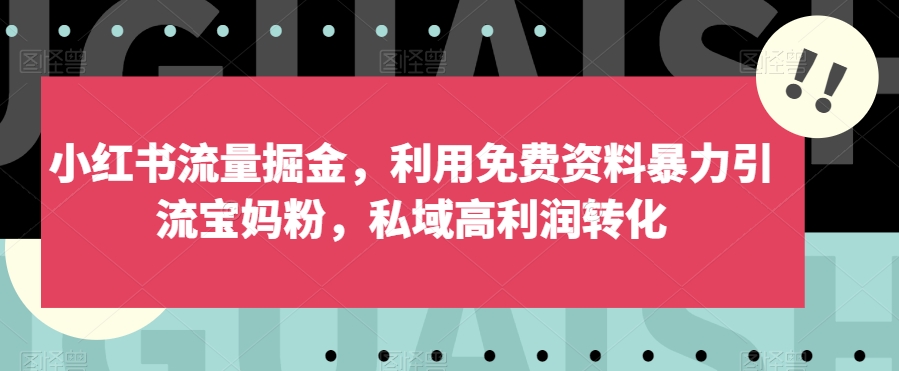 小红书的总流量掘金队，运用免费资料大全暴力行为引流方法宝妈粉，公域高收益转换【揭密】