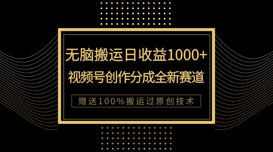 单日盈利1000 ，新品类新生态，微信视频号写作分为没脑子运送100%抖音上热门