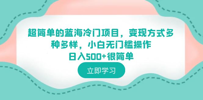 超简单的蓝海冷门项目，变现方式多种多样，小白无门槛操作日入500+很简单