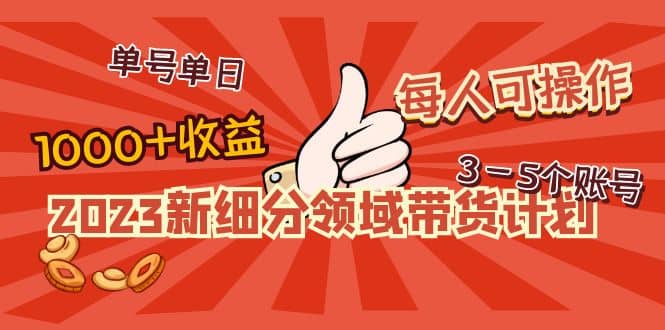 2023新细分领域带货计划：单号单日1000+收益不难，每人可操作3-5个账号