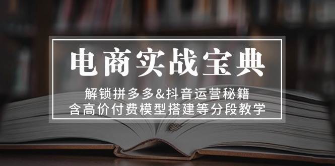 电子商务实战演练秘笈：开启拼多多平台&自媒体运营秘笈，含高价位付钱模型搭建等按段课堂教学