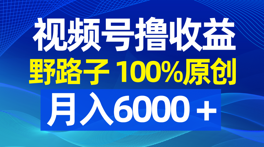 （8679期）微信视频号歪门邪道撸盈利，100%原创设计，一条条爆品，月收入6000＋