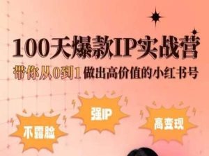 小红书的100天爆品IP实战营，陪你从0到1作出高颜值的小红书号