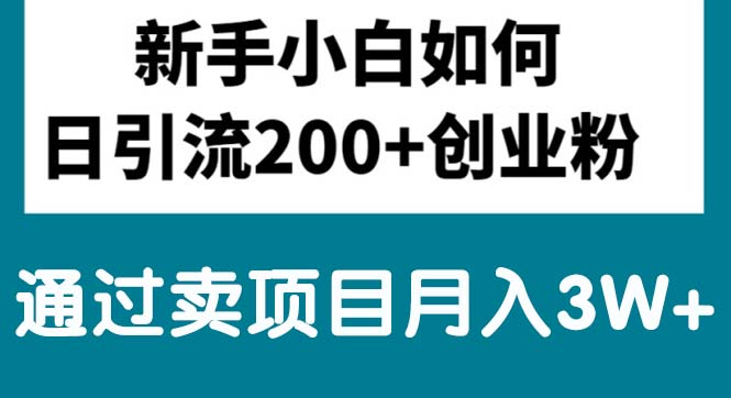 （10843期）新手入门日引流方法200 自主创业粉,根据卖项目月入3W