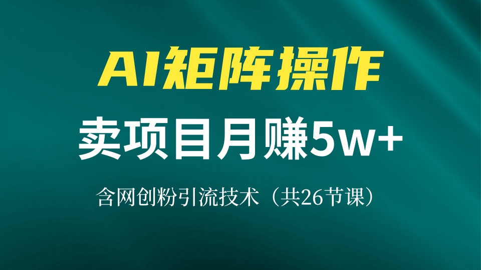 （13335期）网创IP打造出课，依靠AI卖项目月赚5万 ，含引流技术（共26堂课）