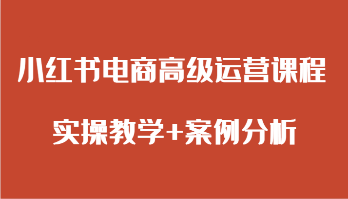 小红书电商高端营销课程 实际操作课堂教学 经典案例