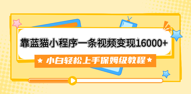 （7595期）靠布偶猫微信小程序一条视频变现16000 新手快速上手家庭保姆级实例教程（附166G材料素材内容）