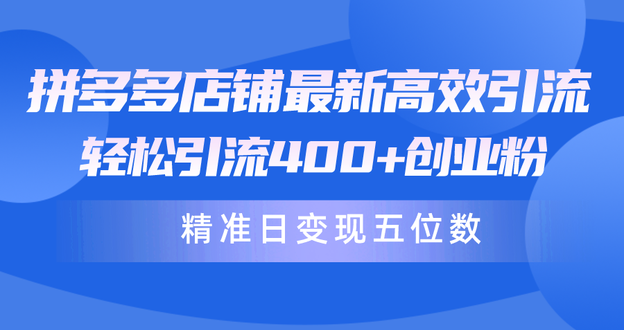 （10041期）拼多多商家全新高效率引流术，轻轻松松引流方法400 自主创业粉，精确日转现五位数！