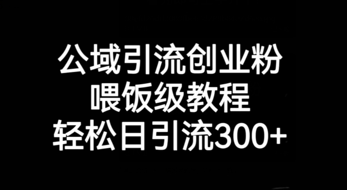 公域流量引流方法自主创业粉，喂食级实例教程，轻轻松松日引流方法300 【揭密】