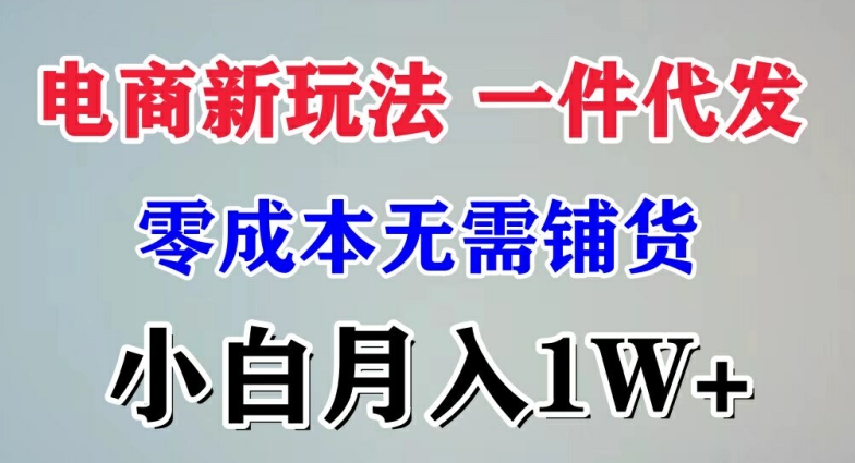 电子商务新模式 一件代发,零成本不用进货，新手月入1W